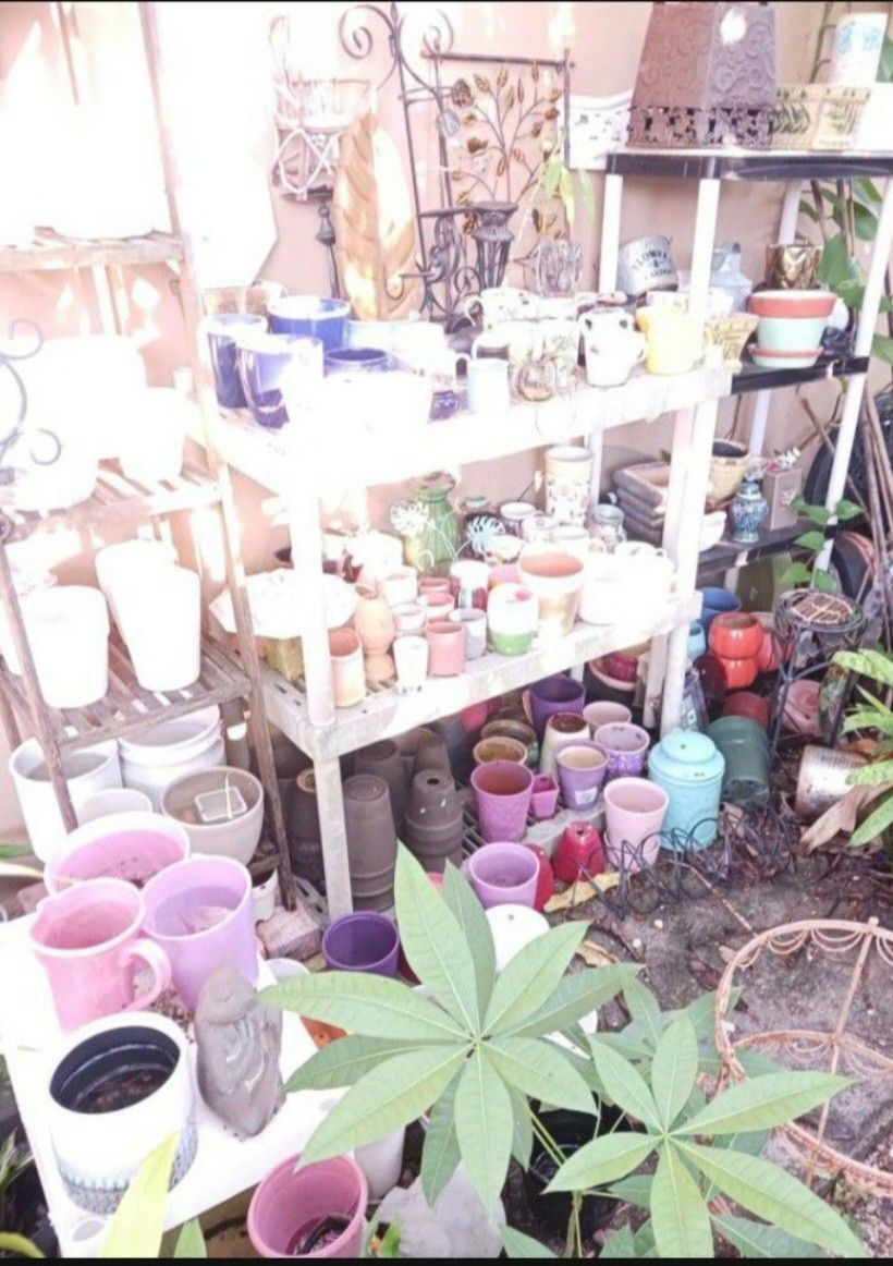 Houseplant Pots Ceramic Blowout Sale