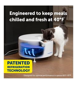 PetSafe FreshFeed Refrigerated Automatic Cat & Dog Feeder, 6 Meals, White