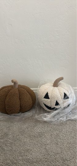 2 new pottery barn pillows