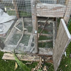 Large Bird Cage And Small Animal Cage, And 3 Foot And 2 Foot Cages