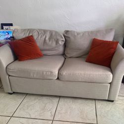 Loveseat Couch