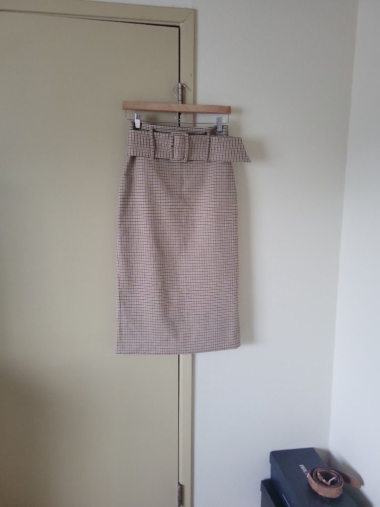 Zara Pencil Skirt 