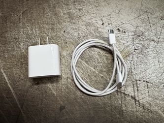 Apple iPhone charger