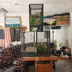 Chameleon Cages
