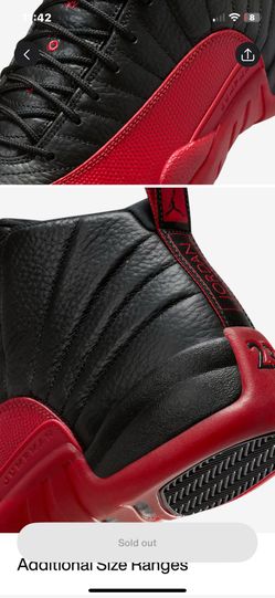 Jordan Flu Game 12