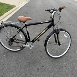 Adult Bike 