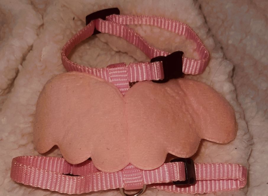 Pink Angel Wing Pet Harness And Leash