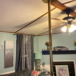 Fitness Pole 