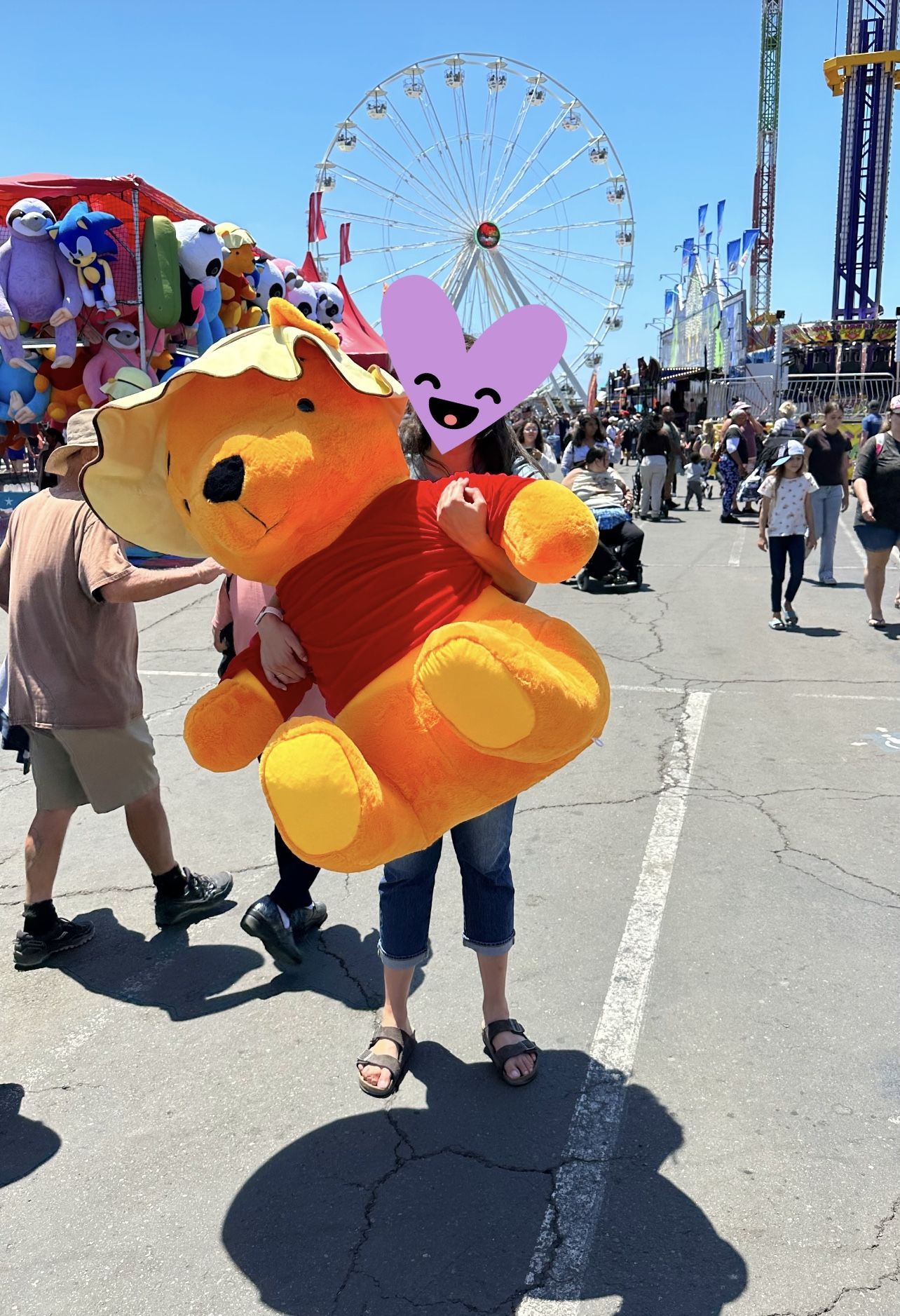 Giant Pooh Stuffed Animal