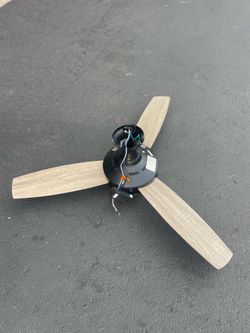 Ceiling fan