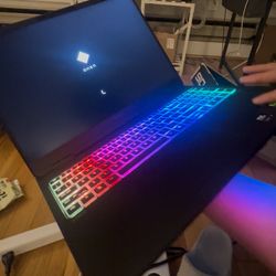 Omen Gaming Laptop