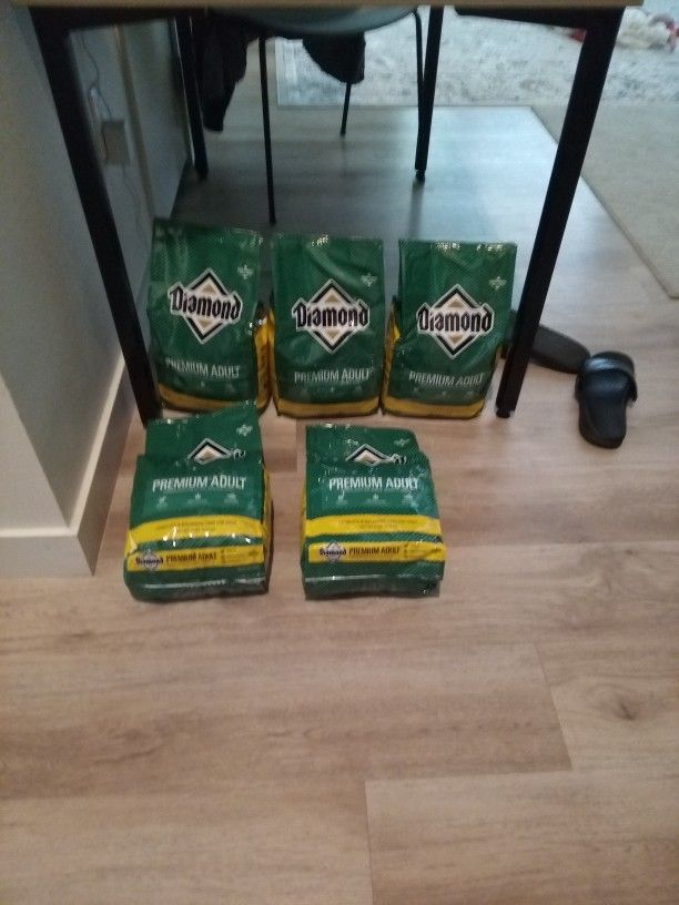 Dog Food 