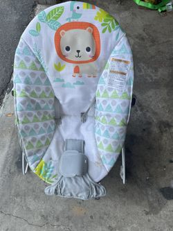 Baby Bouncer