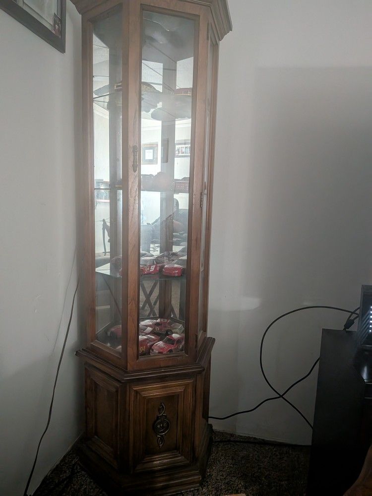 Curio Cabinet With Shelves Lights Up Does Not Include Items Inside
