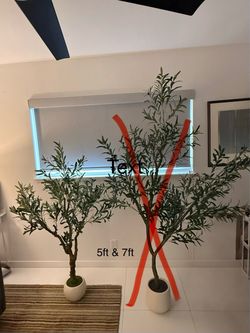 Faux Olive Trees