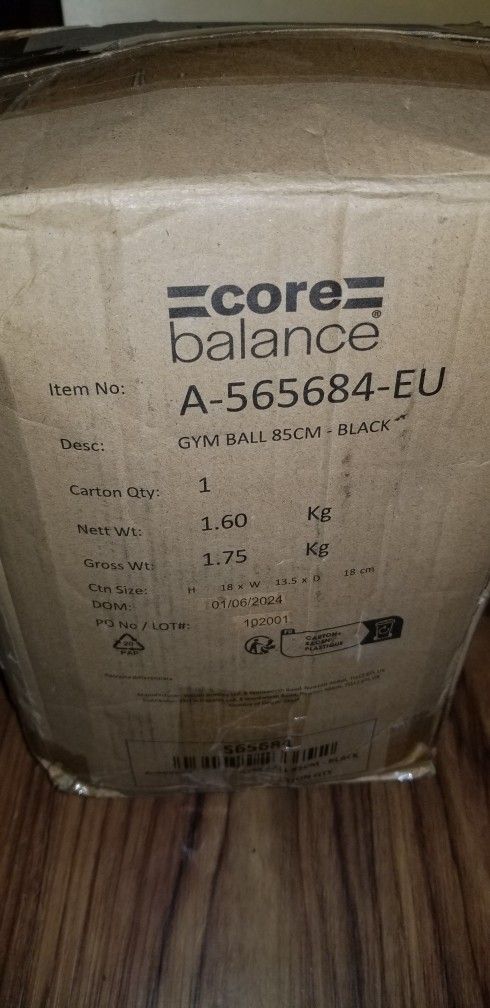 Core Balance Exercise ball