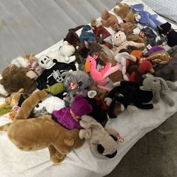 Beanie Baby Collector