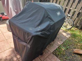Weber Grill
