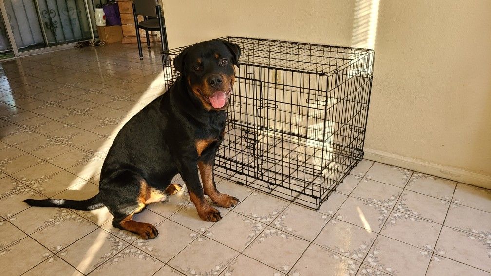 Dog crate / Cage