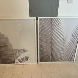 Glass Prints 