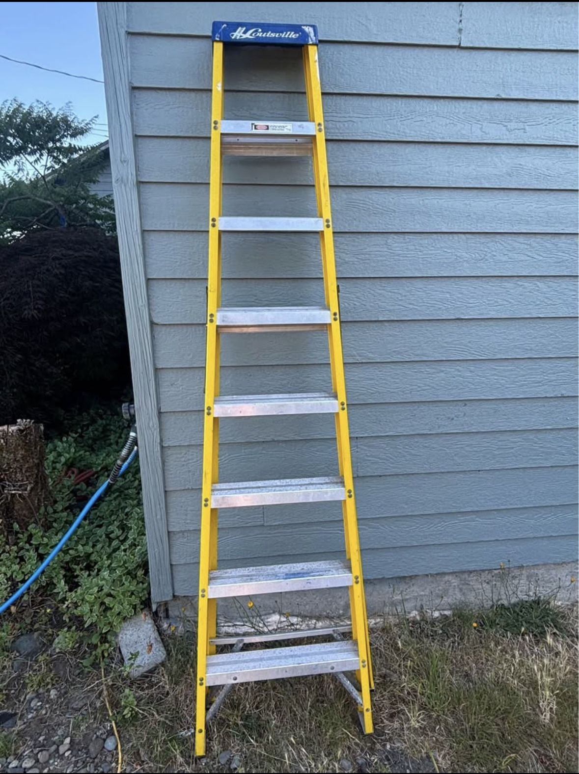 Ladder 8ft