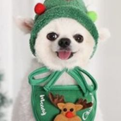 Christmas Pet Costume Set BOGO