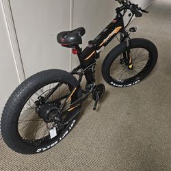 Electric Bicycle 