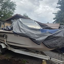 Cruiser Boat 