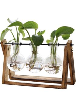 🌱NEW!! 3 Bulb Glass Vase Plant Terrarium