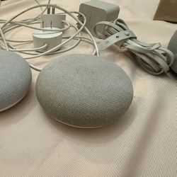 Google Home & Nest
