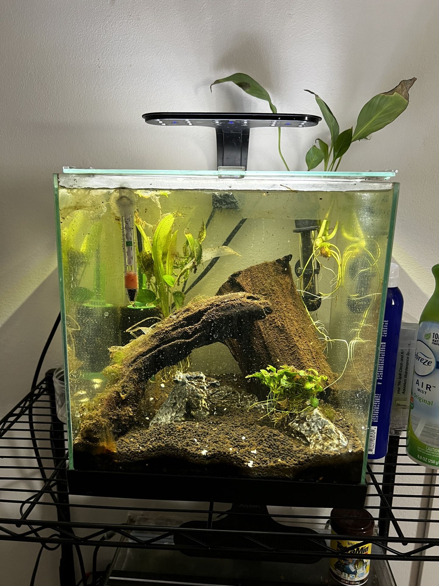 2 Fish Tanks