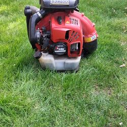 Redmax ebz7500 blower