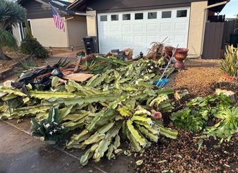 Junk/removed/gone