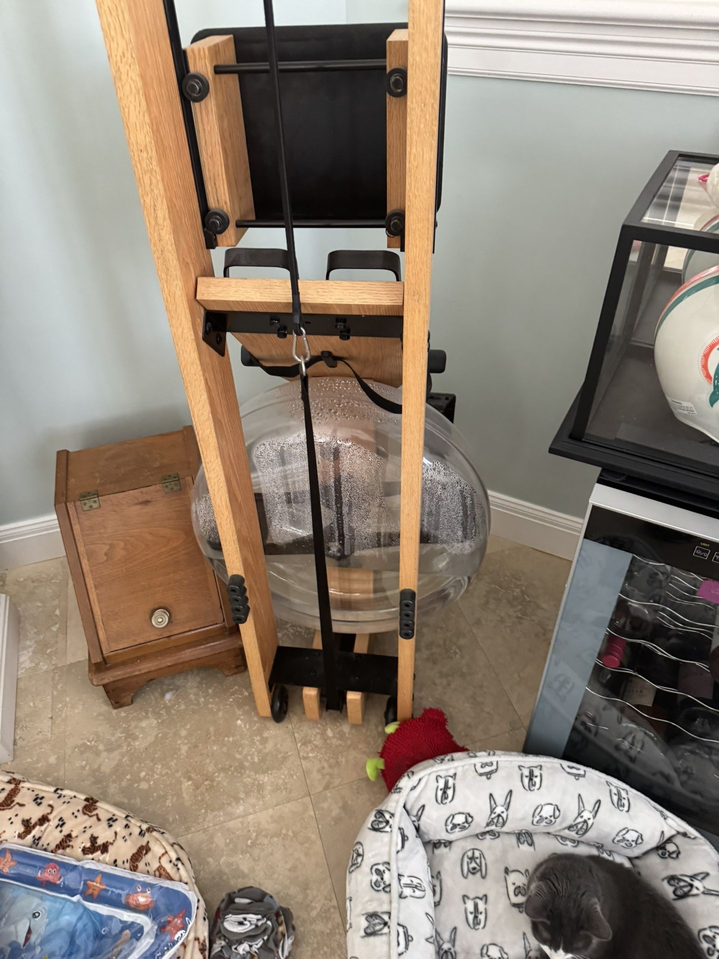 Mr Rudolf Water Rower barely used