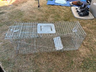 Havahart® Large 1-Door Animal Trap