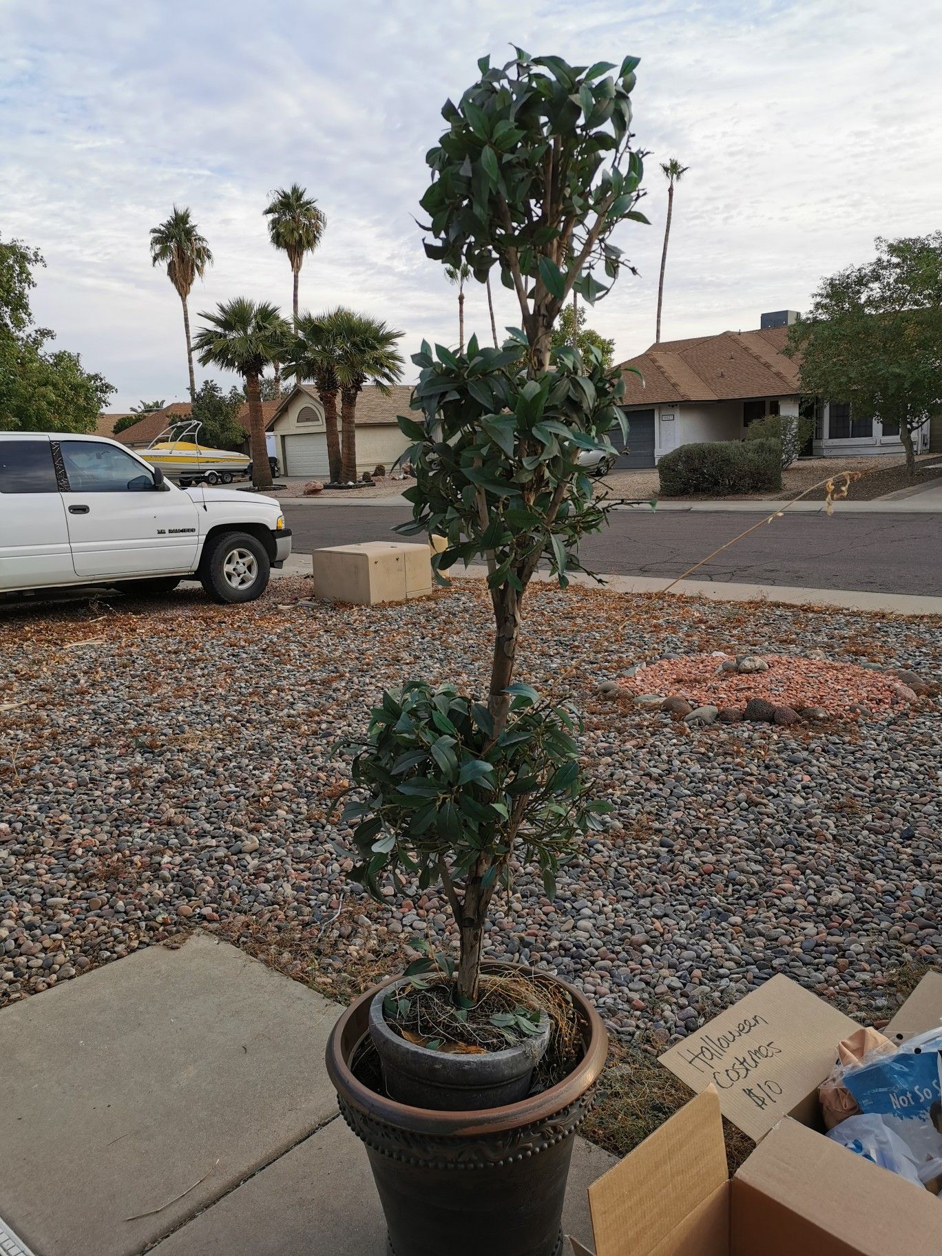 Topiary outdoor fake plant