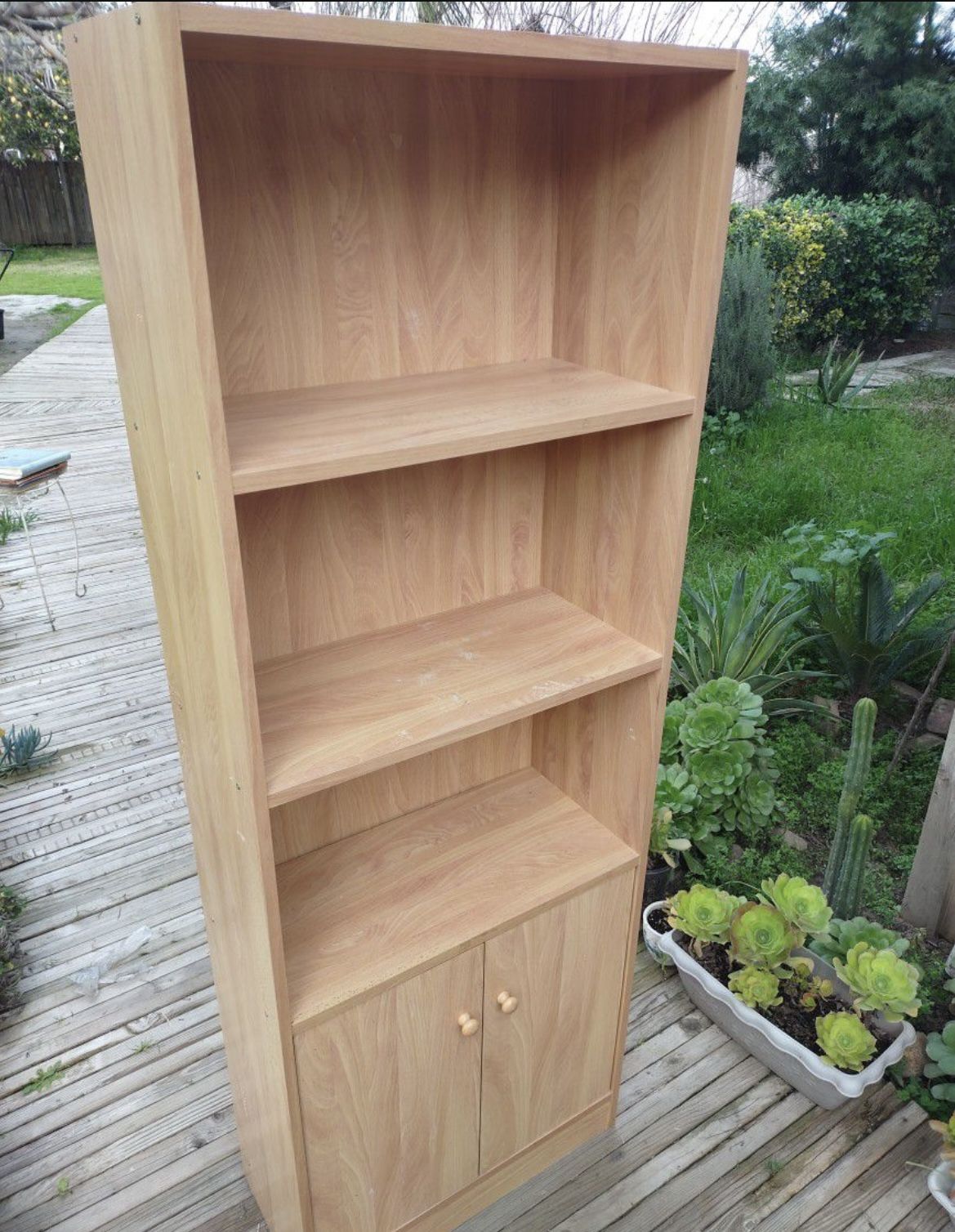 Bookshelves 