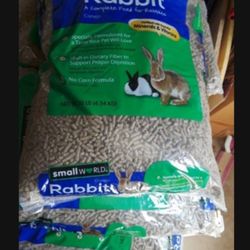 Rabbit/ Bunny Food