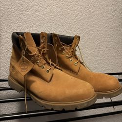 Size 14, Timberlands