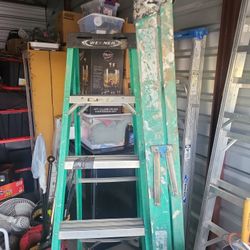 Werner 6 Inch Ladders Maxime Reach 10 Ft ...