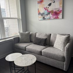 Light Grey Couch With Queen Bed Pull out