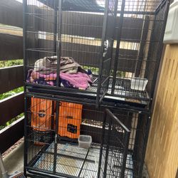 Dog Kennel