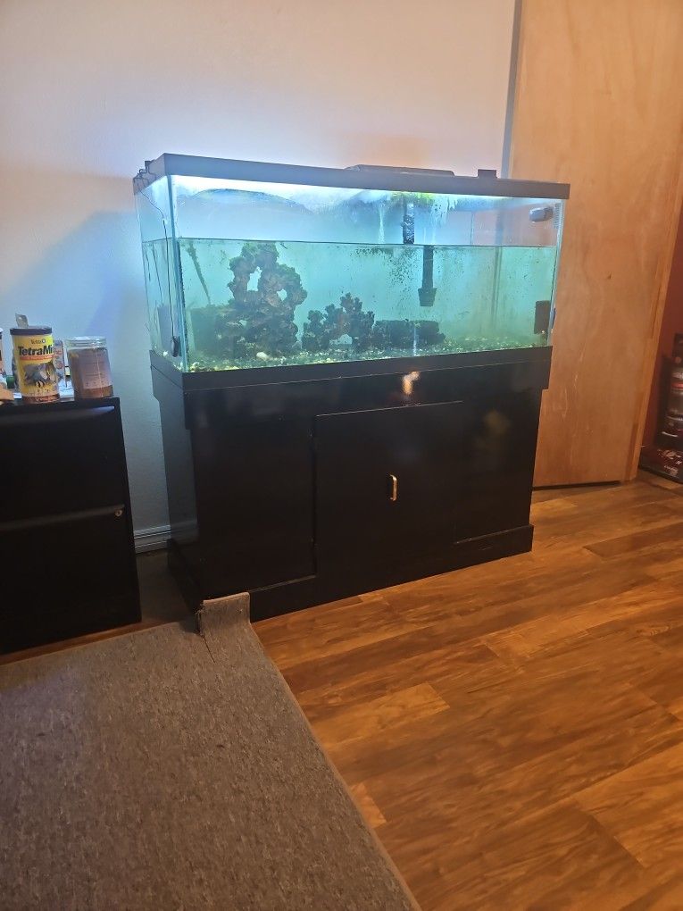 75 Gallon Aquaruim
