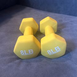 8LB Dumbbell Set Of Two