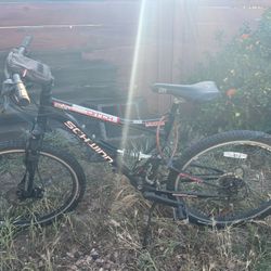 Schwinn Bike