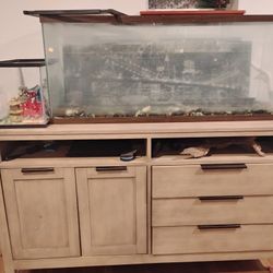 Fish Tank Separate Or Together
