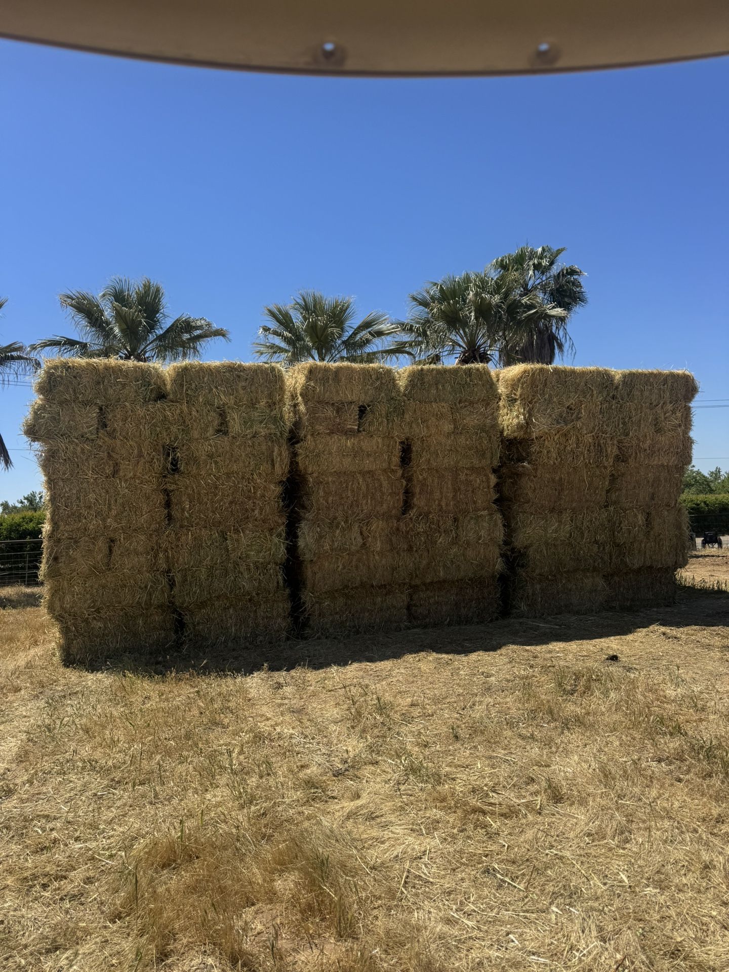 Organic 3 Way Hay ! Oat Wheat Barley