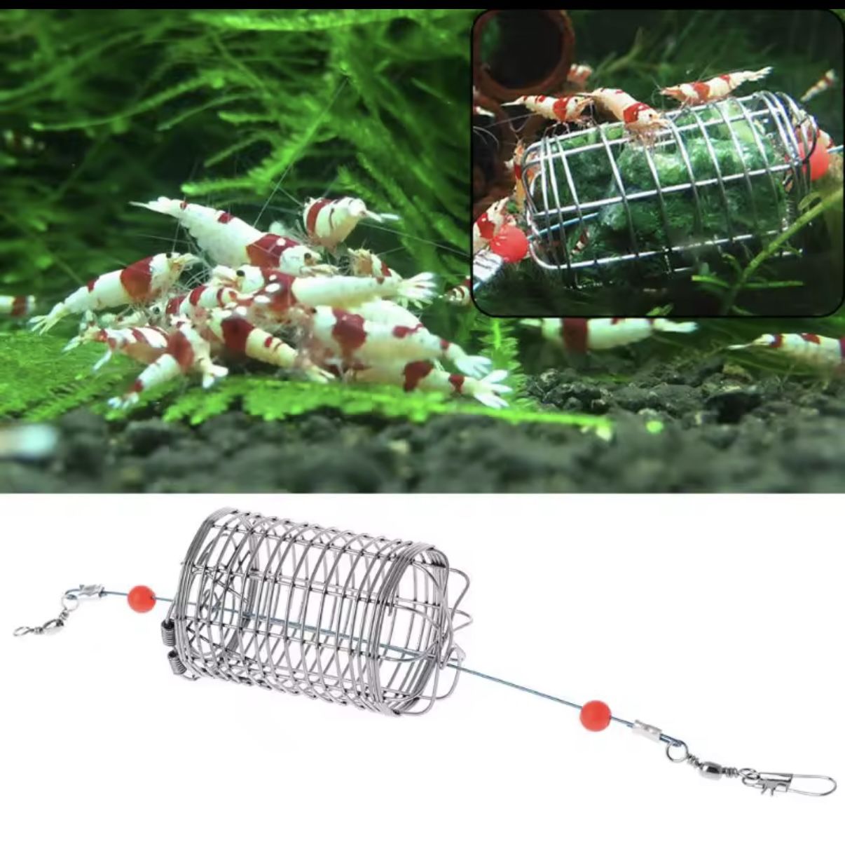Shrimp Feeding Cage Fish Snail Tank Feeding Basket Steel