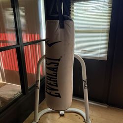 Everlast Heavy Bag Set