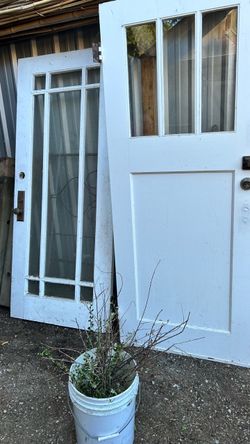 Free old windows and doors